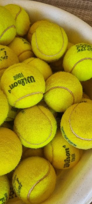 Mingi tenis camp Wilson
