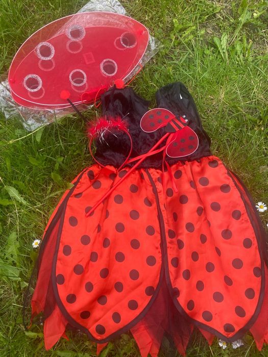 Rochie si aripi gargarita 7-8 ani