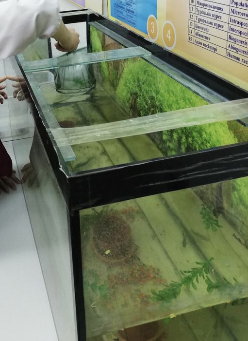 Аквариум сатылады