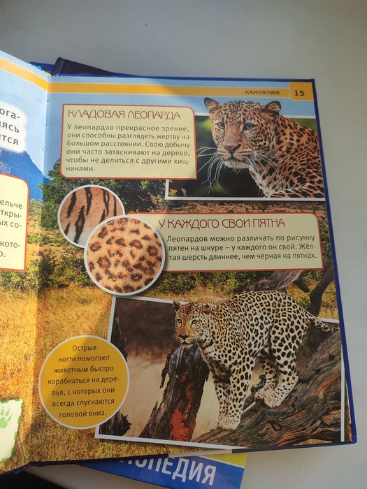 Книги новые для детей.