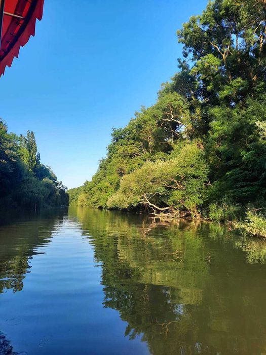 Дава се под наем Едностаен апартамент в к.к. Камчия - 46 кв.м за 229.5 € - Снимка #3