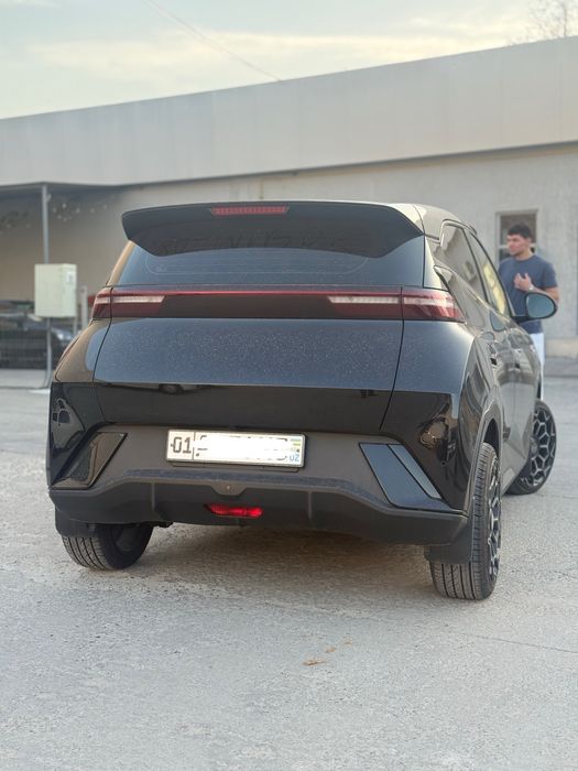 Byd seegull 2024 toza