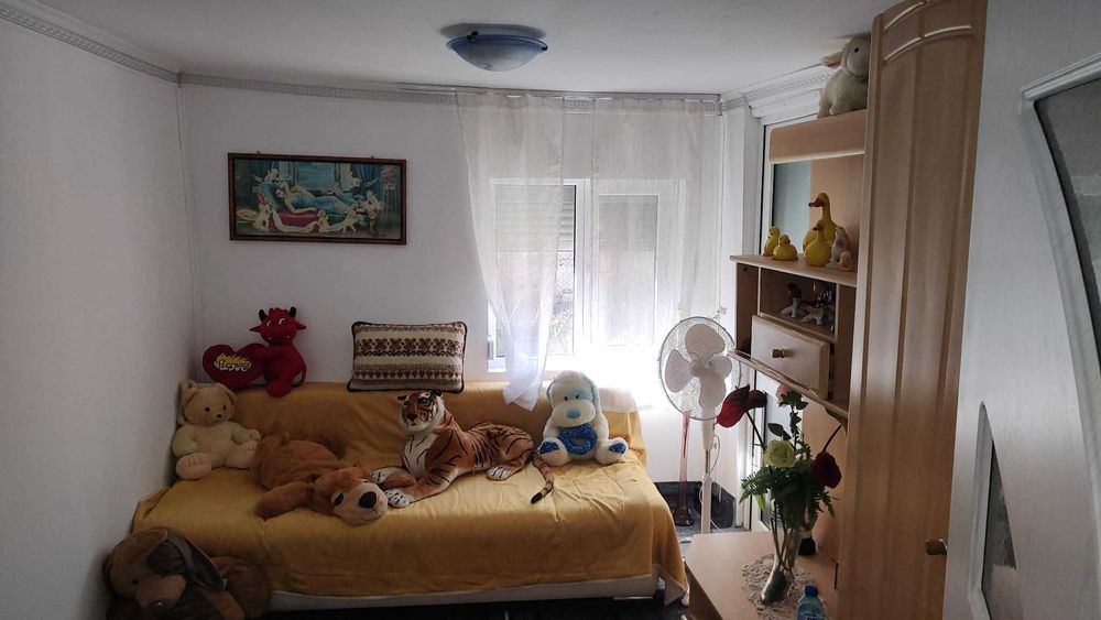 Casa de vanzare cu teren generos