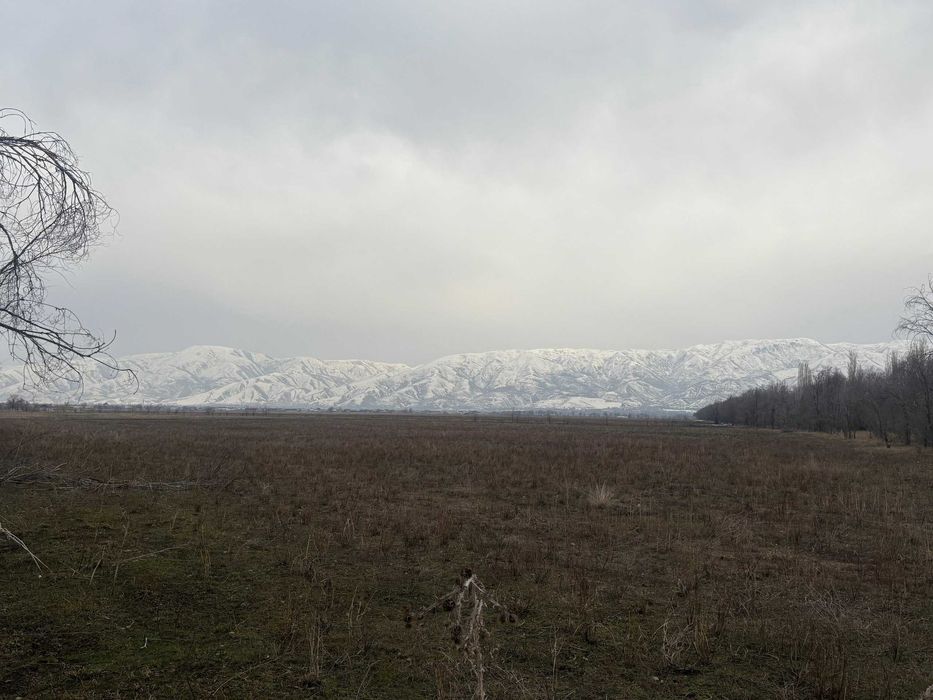 участок 100 соток (1 Га)