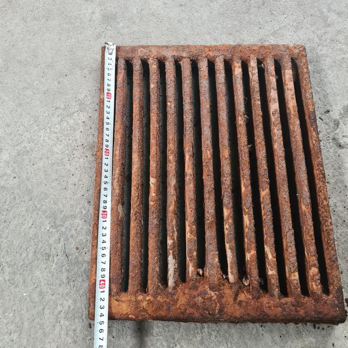 Колоснин большой