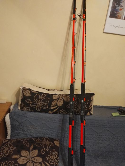 Lansete somn și spining