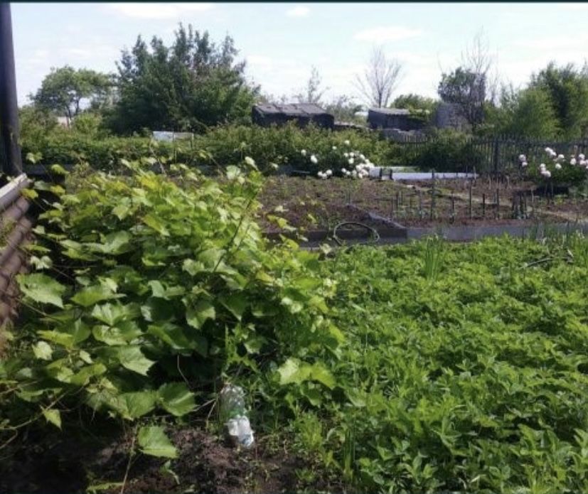 Дача текстильщиков 2