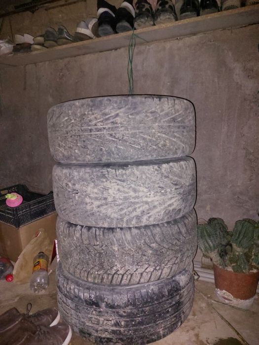 Ешц5щагзны44шщ5ннщ