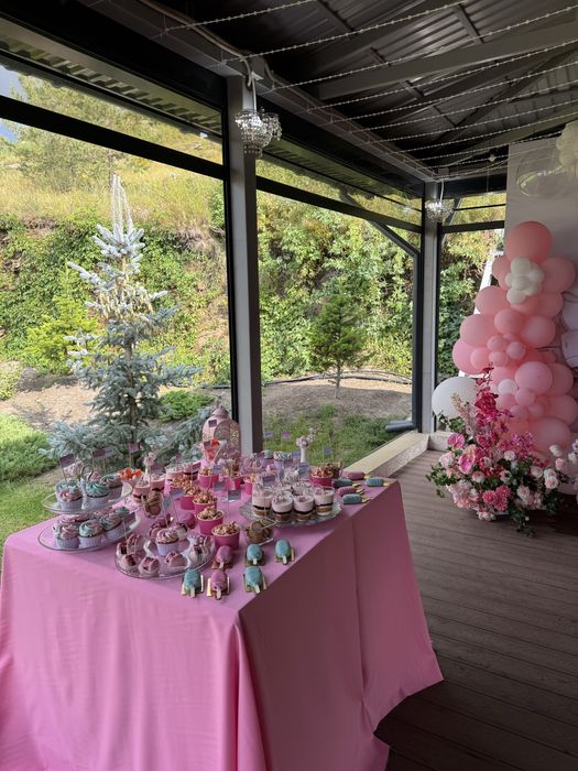 Организация детских праздников