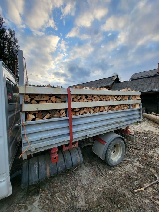Lemne de foc fag tăiate la dimensiunea dorita