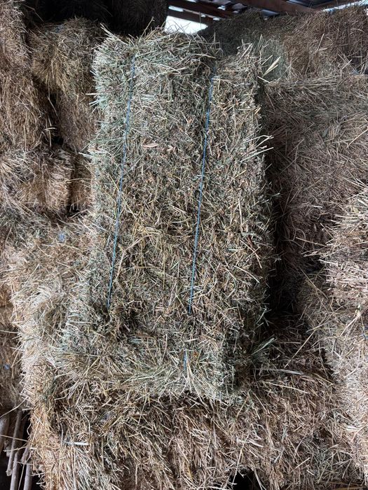 Vând baloti lucerna