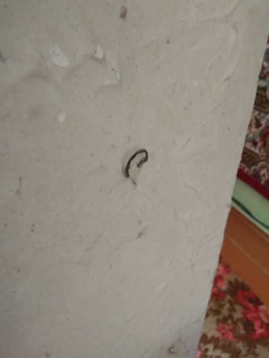 Барельеф Амазонка