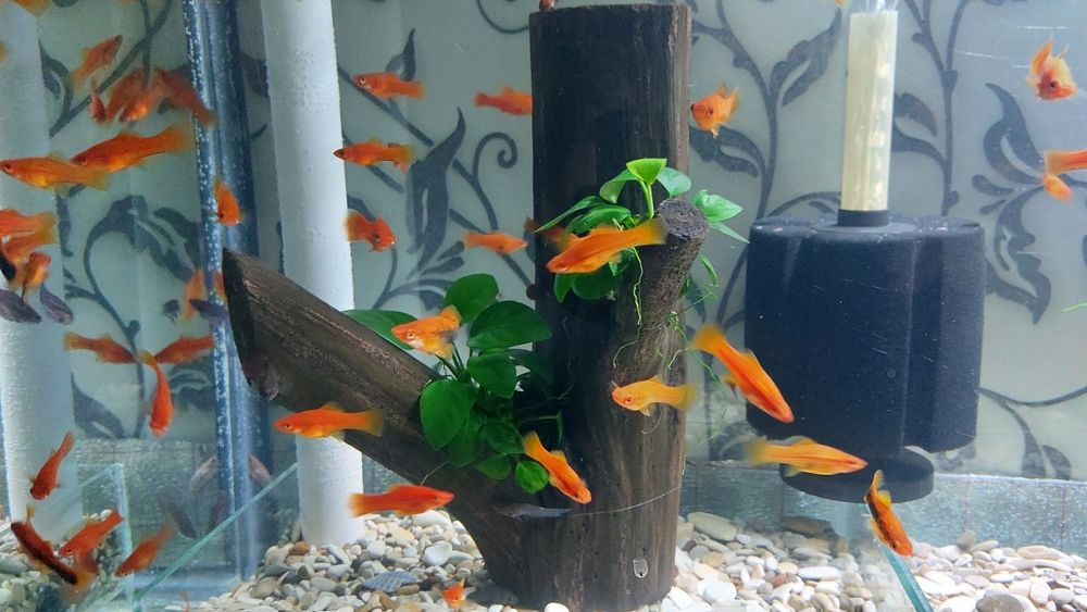 Аква.Фильтр Продам!!!