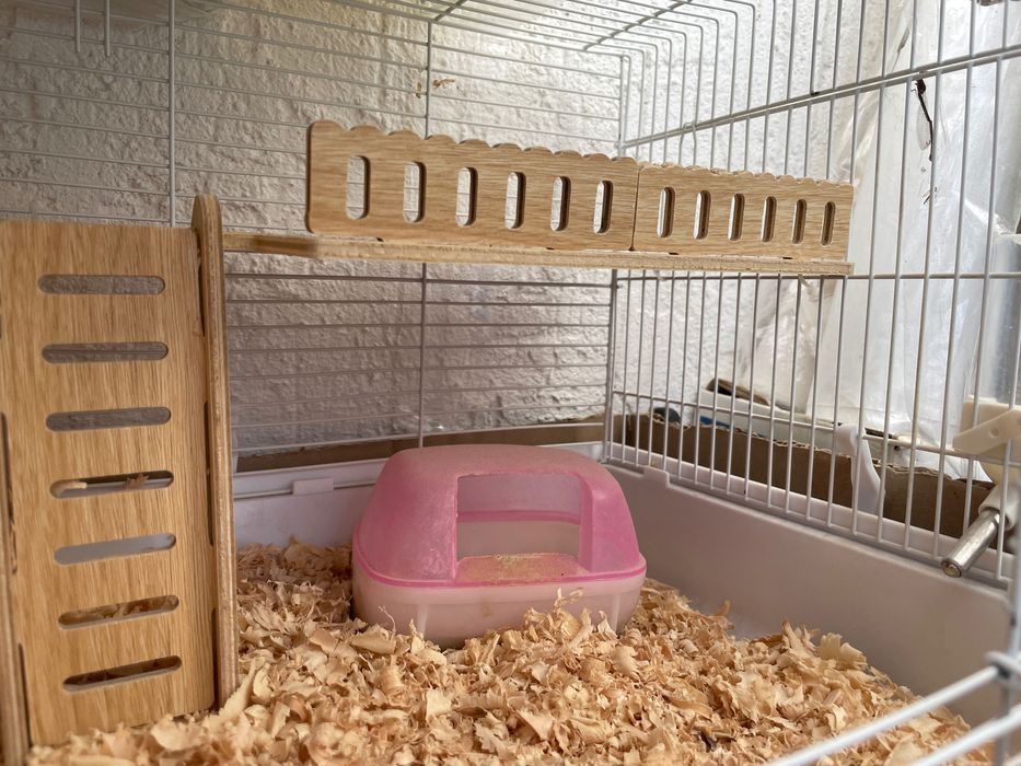 клетка для хомяка