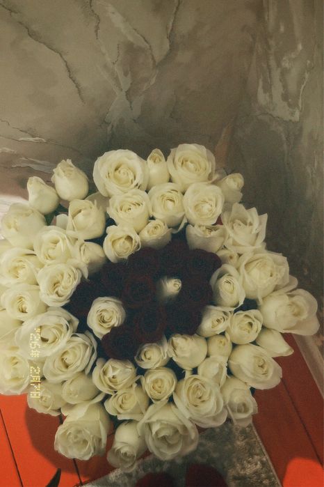 51 штук розы голнскый