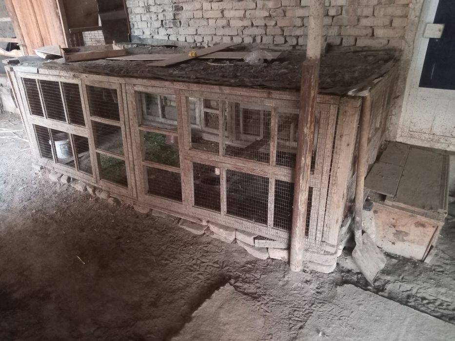 qafas sotiladi 800000 sum buliwi