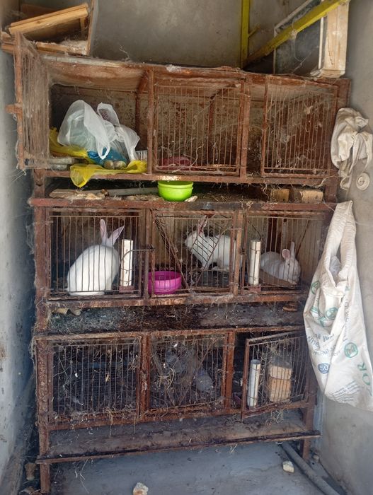 Продам клетку для кроликов, полностью из металла