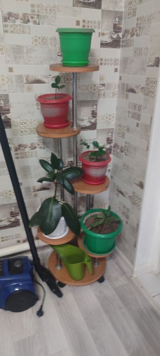 Сатылад гүл бәрі
