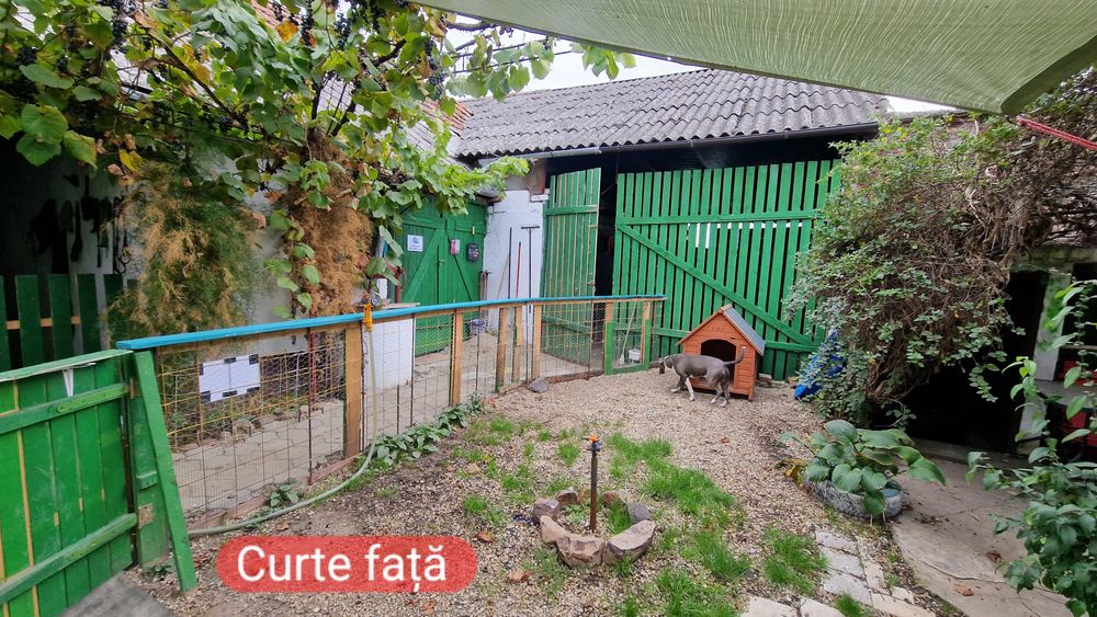 Casa de vânzare-Cefa-Bihor