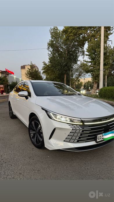 Byd chazor 4 позиция full-120тали