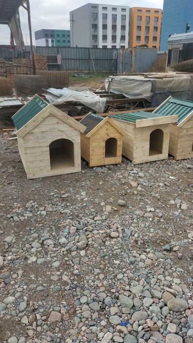 Бутка  дла  сабака