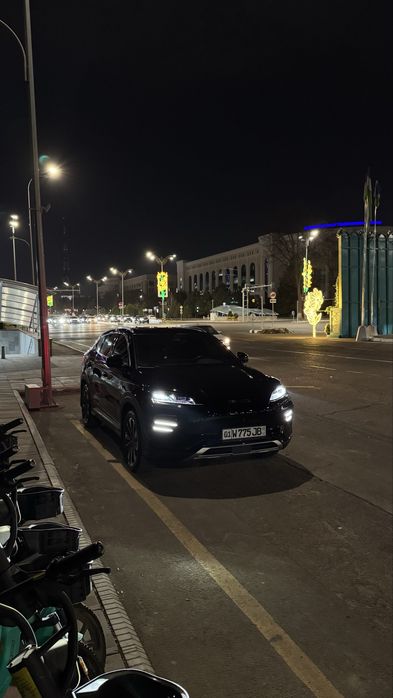 Byd champion 605 km full