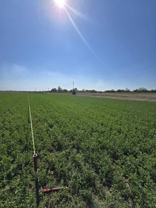 Oferta !!!   teren intravilan la 20 minute de bucuresti