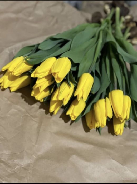 Тюльпаны в розницу