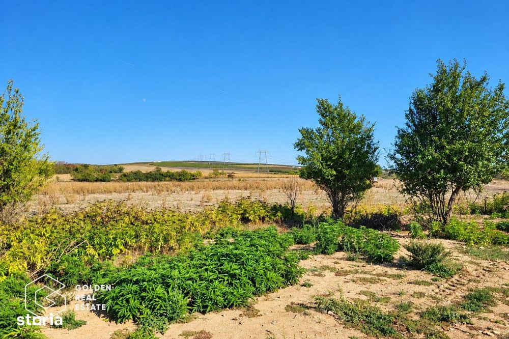 Teren intravilan, 7100 mp, Lipova