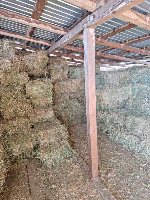 Baloti  Lucerna / Calinesti