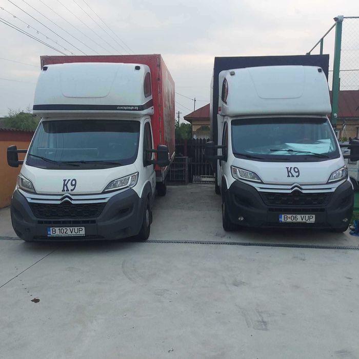 transport animale de conpanie romania spania