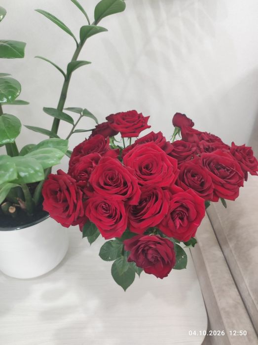 Продам цветы розы 30 шт