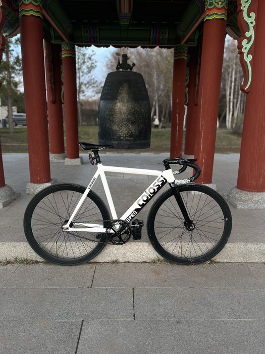 Colossi low pro