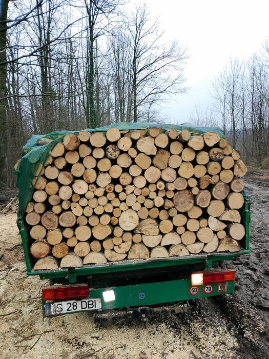 Lemne de foc esență tare stejar frasin fag carpen crăpate dorita clientului mai multe detalii la tel 0765162792