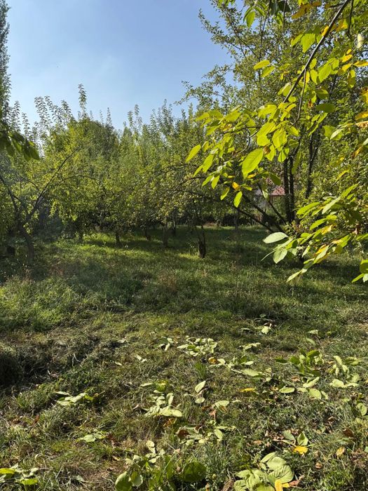 Ер сотилади