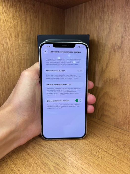 IPhone 12 Pro Max 256gb 100%