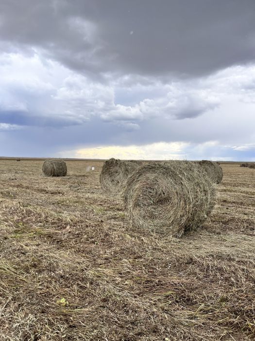 Тюки рулонные сено 300кг