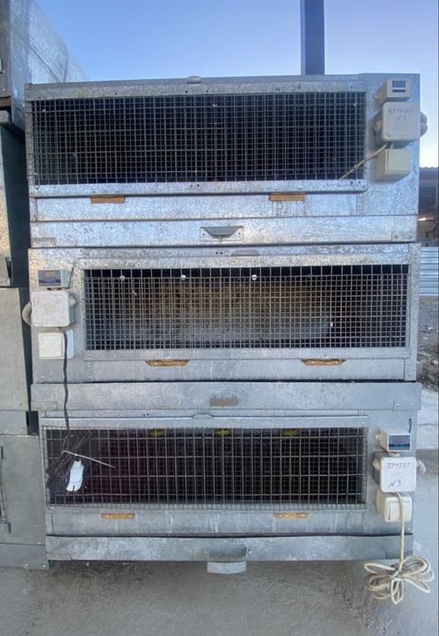 Брудер для птиц куры, гуси, перепелки