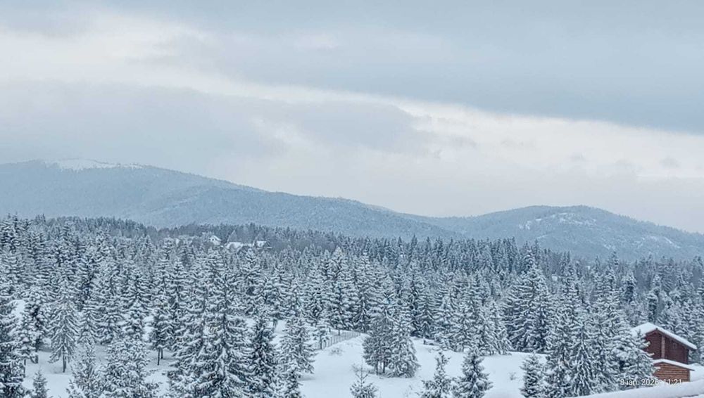 Relax la munte,zona Belis,2 pers,pret/locatie,mic dejun,spa.690/noapte