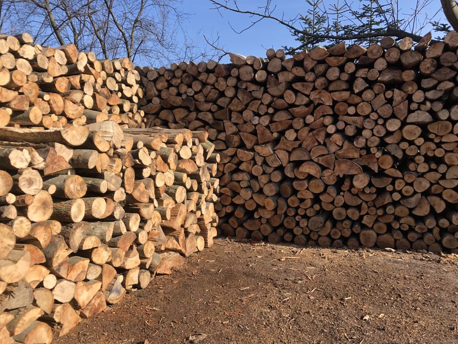 Lemne de foc fag,(calitatea este garantata 100%)