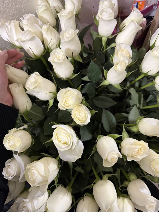 Продаются свежие цветы