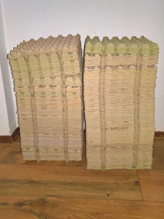 50 cofraje carton/30 oua