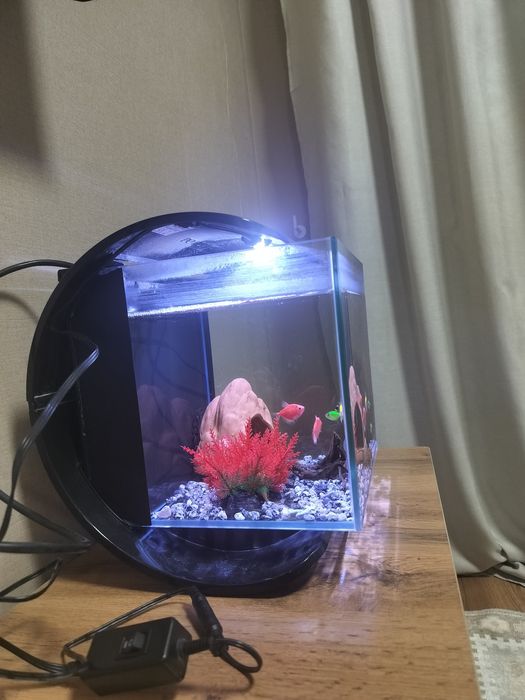 Аквариум Tetra, 10 литров