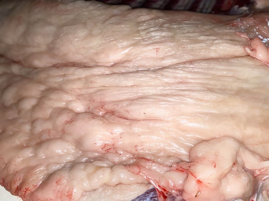 Конина мясо ет Байтал бие