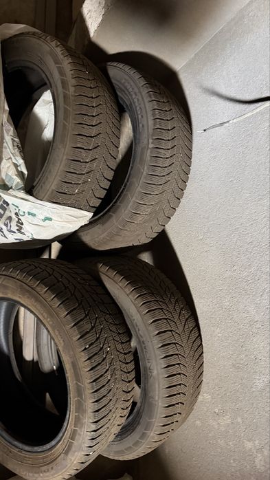 215/55r19 Triangel