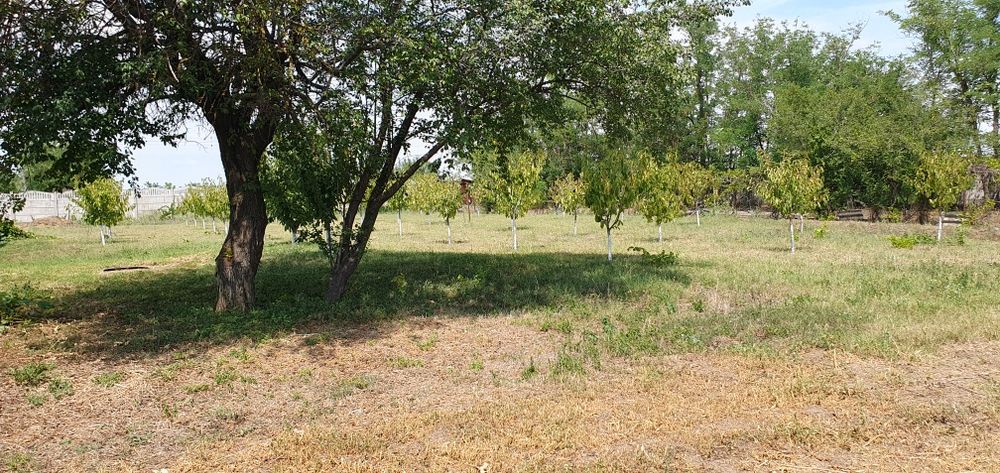 Teren intravilan, sat.Săndulița com.Sărulești ,Călărași