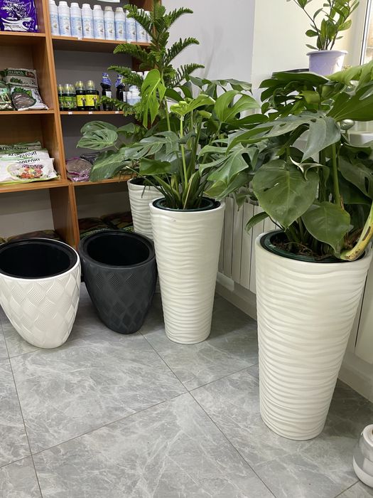 Кашпо для цветов