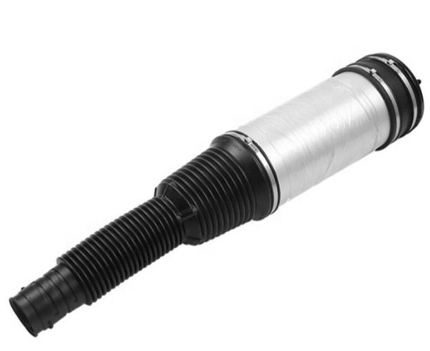 Perna Mercedes-Benz S-Class W220 Spate