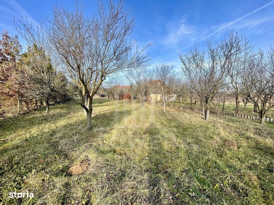 Teren intravilan 1.915 mp + cabană din lemn | Tocile – Sadu