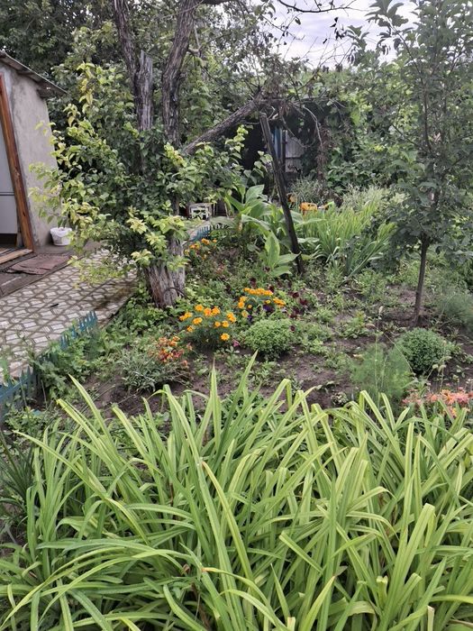 Продам дачу ск локомотивное 10